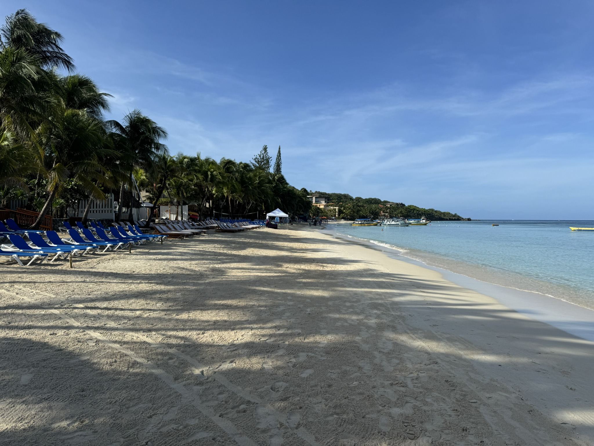 Palm-lined West Bay beach