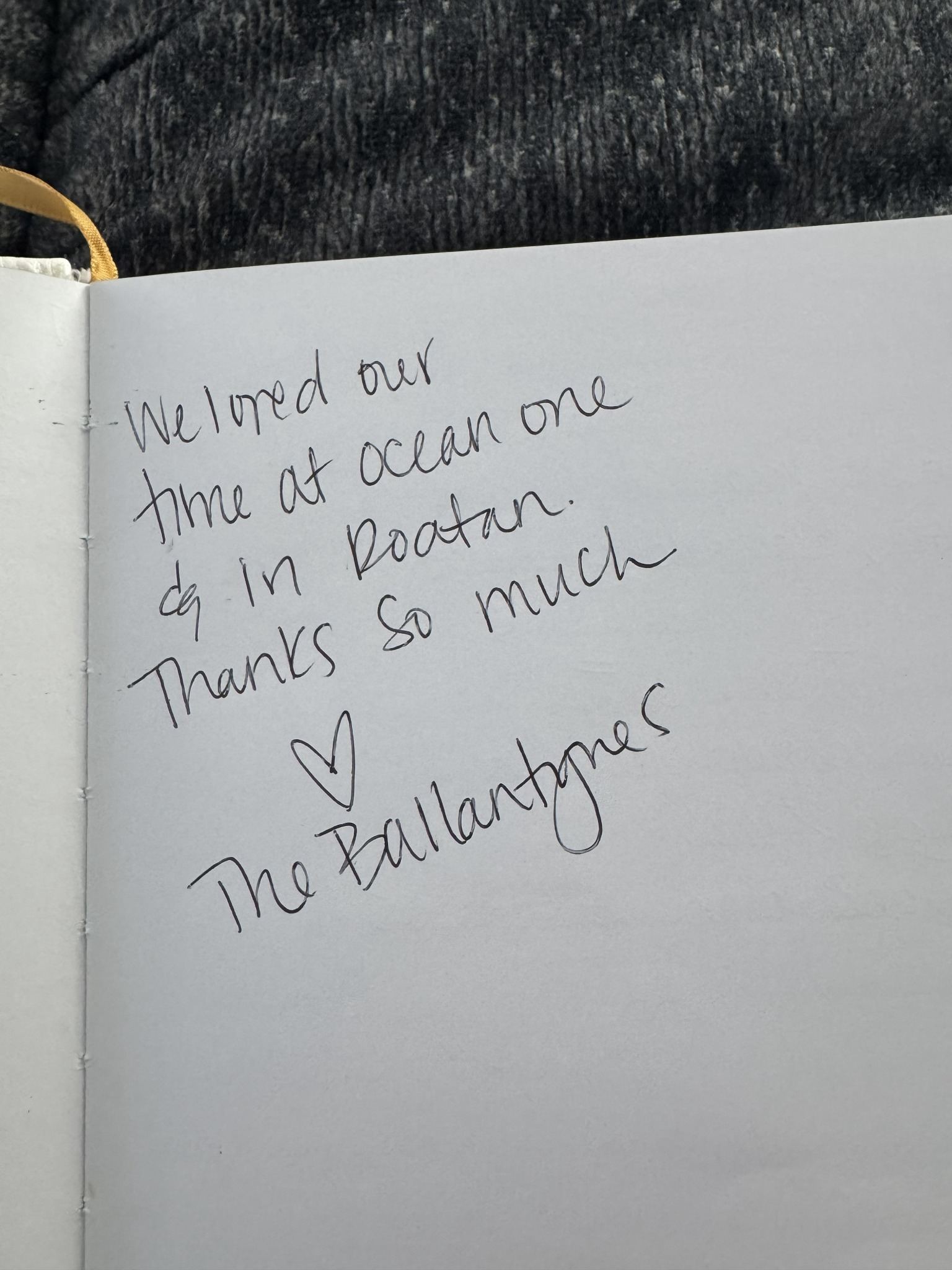 Handwritten guest book review from Sea Turtle Villa
